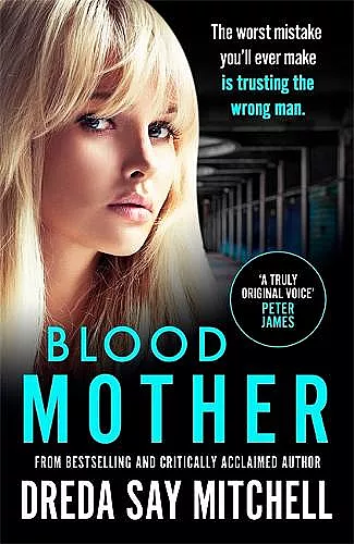 Blood Mother cover