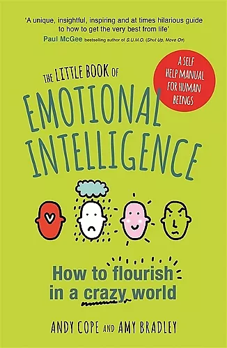 The Little Book of Emotional Intelligence cover