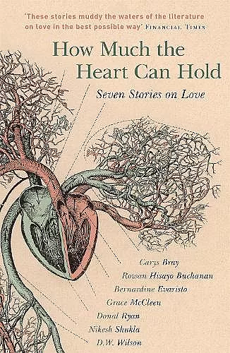 How Much the Heart Can Hold cover