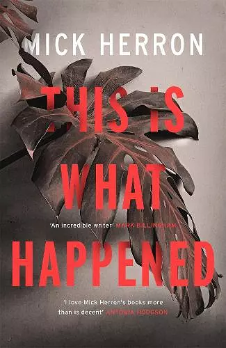 This is What Happened cover