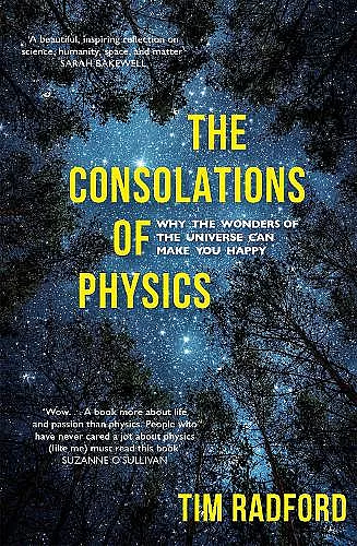 The Consolations of Physics cover