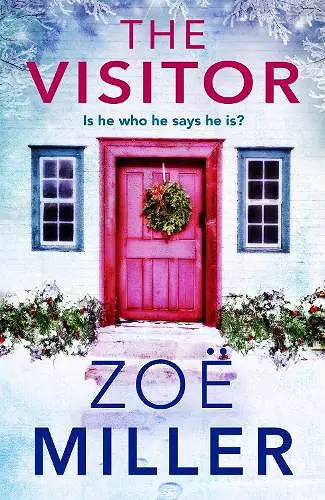 The Visitor cover