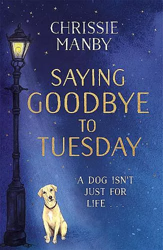Saying Goodbye to Tuesday cover