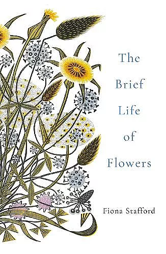 The Brief Life of Flowers cover