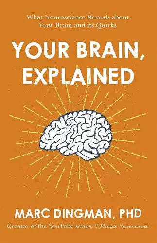 Your Brain, Explained cover