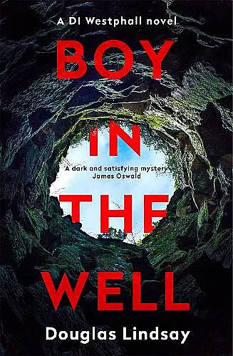 Boy in the Well cover