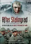 After Stalingrad cover