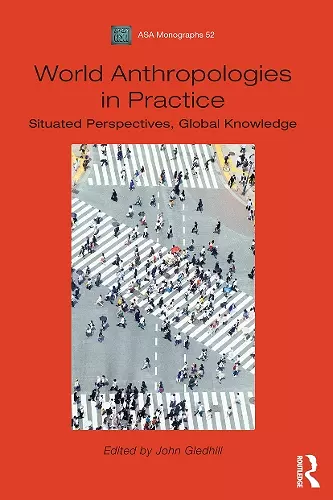 World Anthropologies in Practice cover