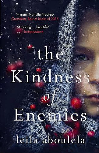 The Kindness of Enemies cover