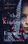 The Kindness of Enemies cover