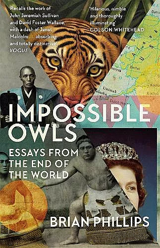 Impossible Owls cover