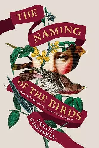 The Naming of the Birds cover