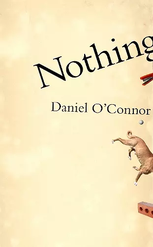 Nothing cover