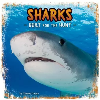 Sharks cover