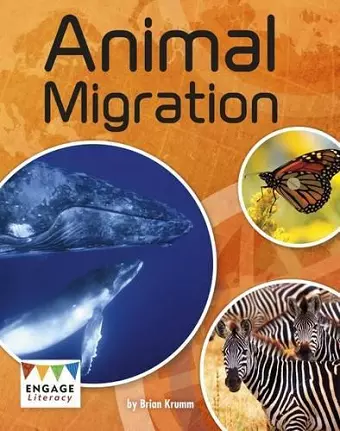 Animal Migration cover