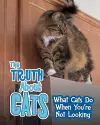 The Truth about Cats cover