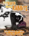 The Truth about Rabbits cover