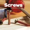 Screws cover