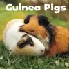 Guinea Pigs cover