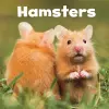 Hamsters cover