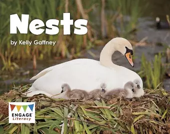 Nests cover