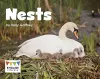 Nests cover