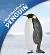 A Day in the Life of a Penguin cover