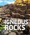 Igneous Rocks cover