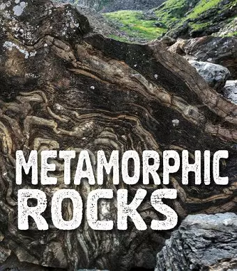 Metamorphic Rocks cover