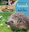 Animals of the British Isles cover