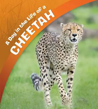 A Day in the Life of a Cheetah cover