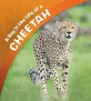 A Day in the Life of a Cheetah cover