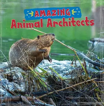 Amazing Animal Architects cover