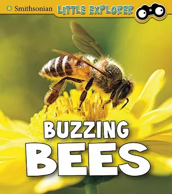 Buzzing Bees cover