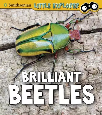 Brilliant Beetles cover