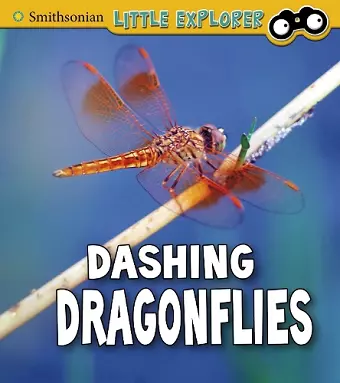 Dashing Dragonflies cover