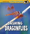 Dashing Dragonflies cover