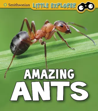 Amazing Ants cover