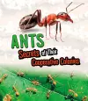 Ants cover