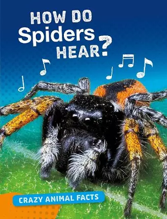 How Do Spiders Hear? cover