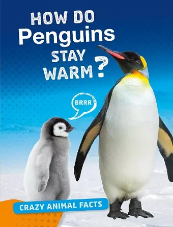 How Do Penguins Stay Warm? cover