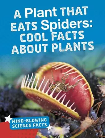 A Plant That Eats Spiders cover