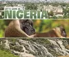 Let's Look at Nigeria cover