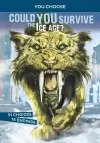 Could You Survive the Ice Age? cover