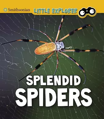 Splendid Spiders cover