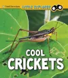 Cool Crickets cover