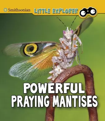 Powerful Praying Mantises cover