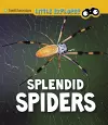 Splendid Spiders cover