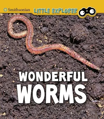 Wonderful Worms cover