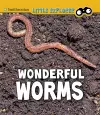 Wonderful Worms cover